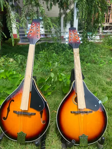 Nepal Music Gallery: Portfolio photo 4