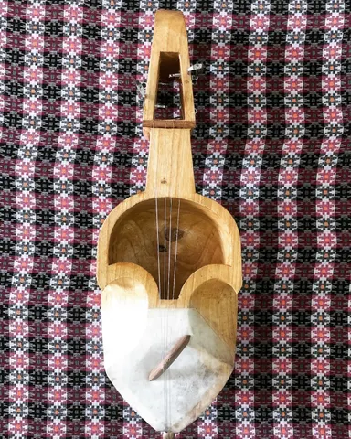 Project Sarangi: Portfolio photo 3