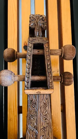 Project Sarangi: Portfolio photo 2