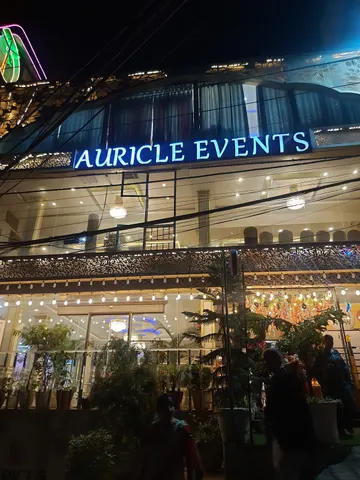 Auricle events: पोर्टफोलियो फोटो 2